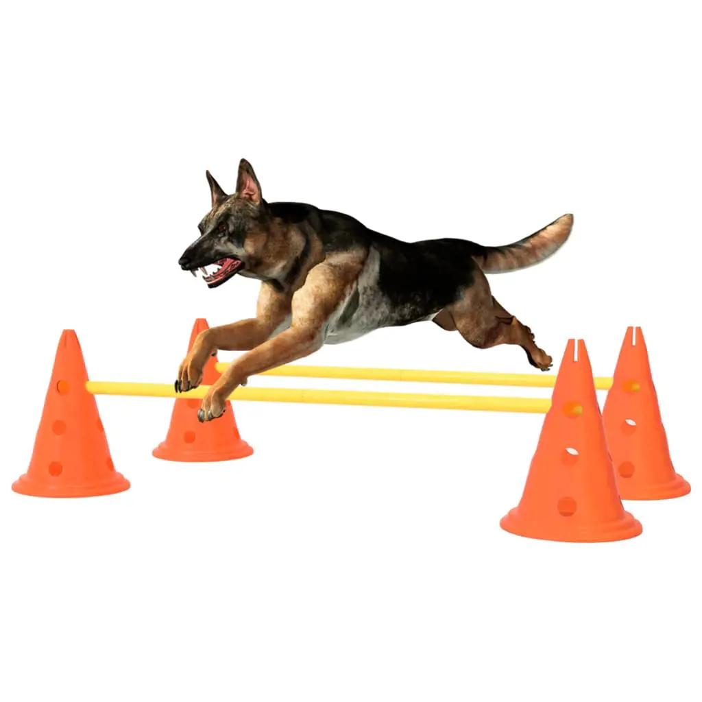 Hindernissenset voor honden oranje en geel (1)