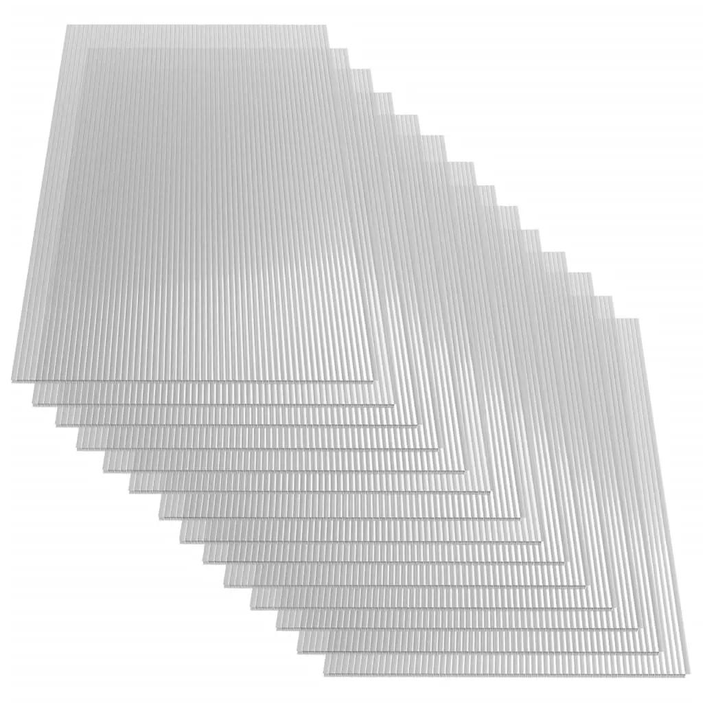Polycarbonaatplaten 14 st 4 mm 121x60 cm (3)