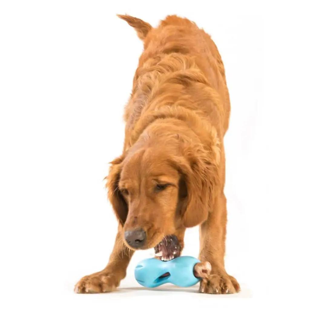 Zogoflex Hondenpuzzel speelgoed Qwizl blauw maat L 3540 (4)