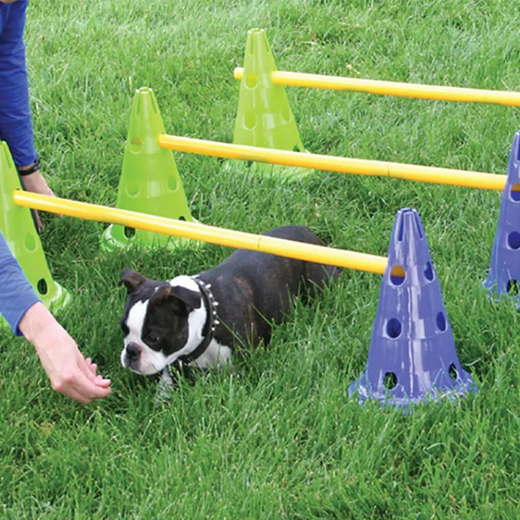 FitPAWS Honden behendigheidsset Canine Gym (1)