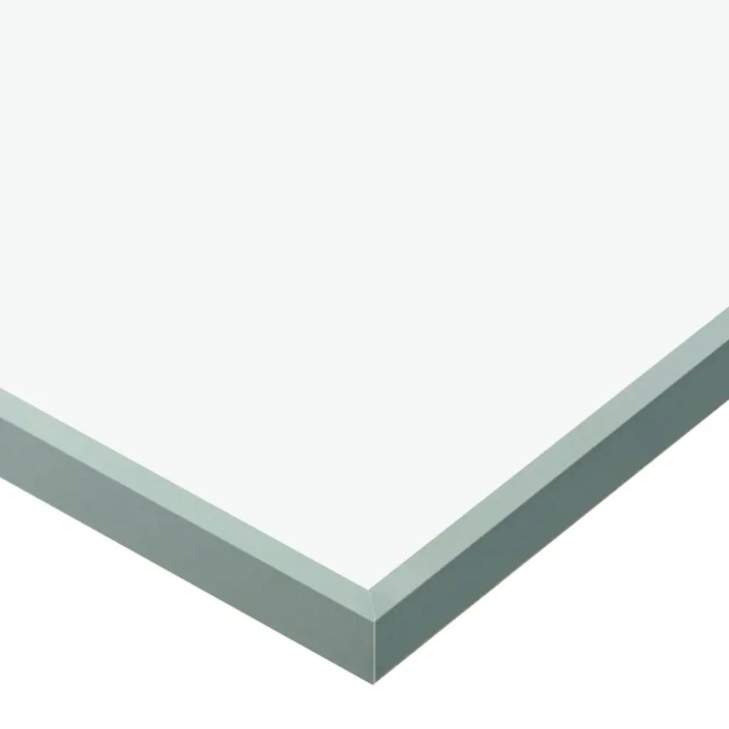 Schuifdeur 90x205 cm ESG-glas en aluminium zilverkleurig (6)