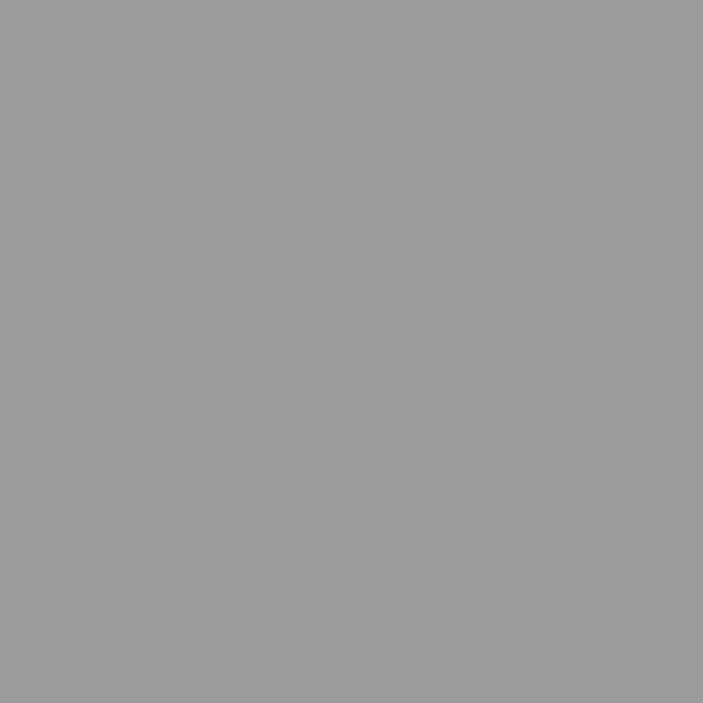 Tuinschuur 277x192,5x179 cm gegalvaniseerd staal grijs (11)
